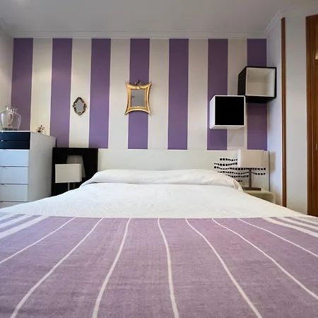 Apartment Piso Oleaxe *