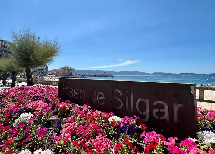 Apartament Piso Oleaxe *